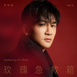 Listen to 玫瑰急救箱 song with lyrics from 苏有朋
