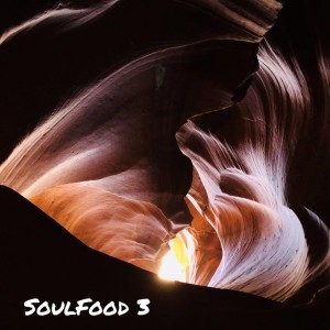 อัลบัม SoulFood 3 ศิลปิน Wut Wongsunsern