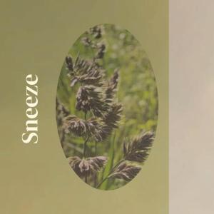 Album Sneeze from Various