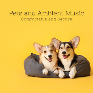 Album Pets and Ambient Music: Comfortable and Secure from Sounds Dogs Love