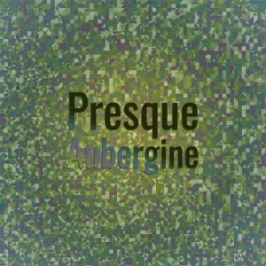 Various的专辑Presque Aubergine