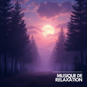 Musique Calme et Relaxation的專輯Chemin Tranquille à Travers les Brumes du Matin