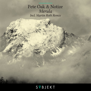 Listen to Merula (Martin Roth Remix) song with lyrics from Pete Oak