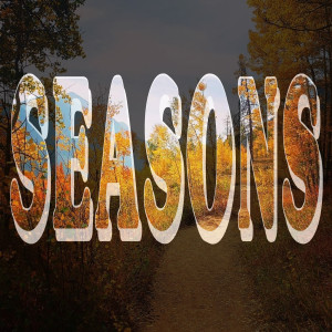 The White Tie Affair的專輯Seasons