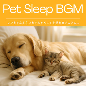 7 HEALING MUSIC LOUNGE的专辑Puppy and Kitty Sleep Aid: Pet Sleep BGM for a Peaceful Rest