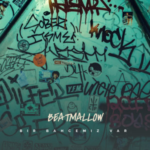 Listen to Bir Bahçemiz Var song with lyrics from Beatmallow