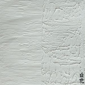 Listen to 백화(白化) song with lyrics from 공도하