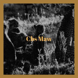 Listen to Cbs Maw song with lyrics from Janne Inin