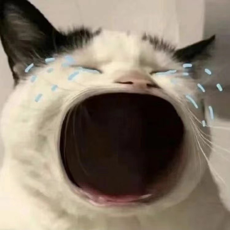 姜知