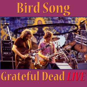 ดาวน์โหลดและฟังเพลง Bird Song (Live) พร้อมเนื้อเพลงจาก Grateful Dead