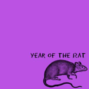 Album Year of the Rat (Explicit) from Friendswithbeats