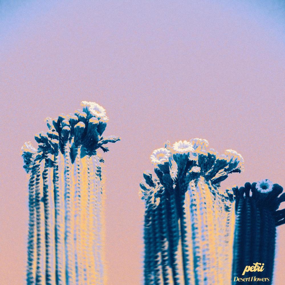 bloom (feat. Desert Flowers)