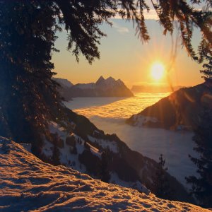 Album Simple Love from VJ Beats