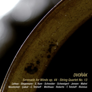 อัลบัม Dvořák: Serenade in D Minor, B. 77; String Quartet No. 13 in G Major, B. 192 (Live Recordings from Spannungen Festival 2008) ศิลปิน Sharon Kam