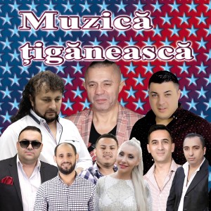 ดาวน์โหลดและฟังเพลง Tiganca Mea พร้อมเนื้อเพลงจาก Ciprian De La Bistrita