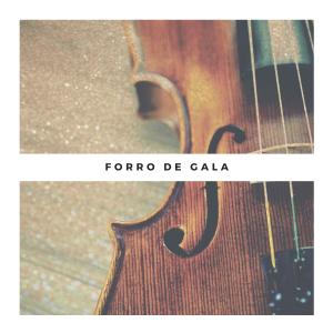 Album Forro de Gala from 