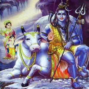 Album Pis Da Bhangiya Ye Gaura (Bolbam Bhojpuri Bhajan) from Rahul Raushan
