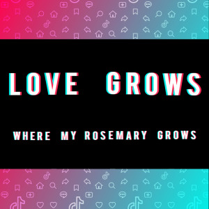 The Magic Time Travelers的专辑Love Grows (Where My Rosemary Grows) (TikTok Viral)