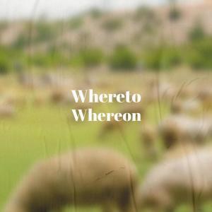 Dengarkan Lote lagu dari Liton Diter dengan lirik
