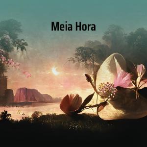 收聽Viral Sounds的Meia Hora歌詞歌曲