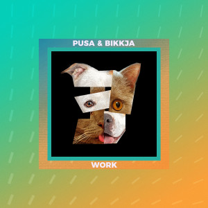 Album Work from Pusa