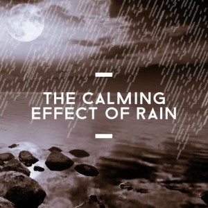 ดาวน์โหลดและฟังเพลง Monday Morning Rain พร้อมเนื้อเพลงจาก Ambient Rain