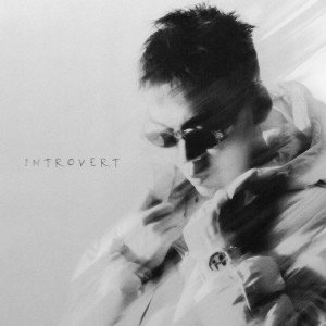 Album Белая метель oleh Introvert