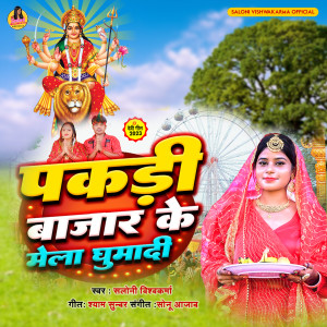 收聽Saloni Vishwakarma的Pakadi bazar Ke Mela Ghumadi歌詞歌曲