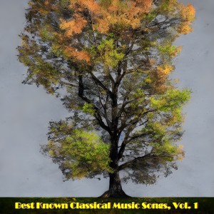 Album Best known classical music songs, Vol. 1 (Explicit) from 