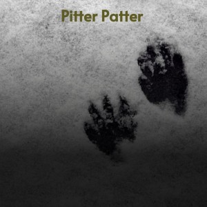 ดาวน์โหลดและฟังเพลง Pitter Patter พร้อมเนื้อเพลงจาก Ultra Mates