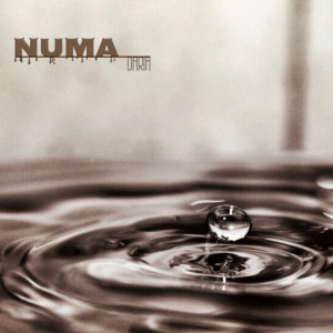 Album NUMA from Daria