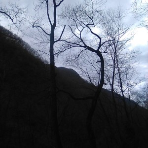 Album 路之随想 from 