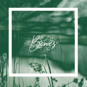 Album Bones oleh Floater Garry