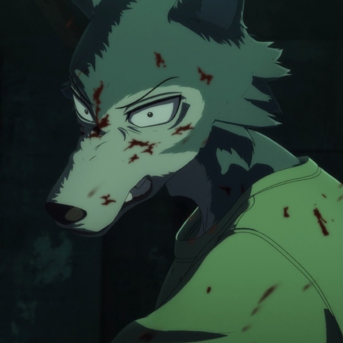 WILDDOGGANG 野狗帮