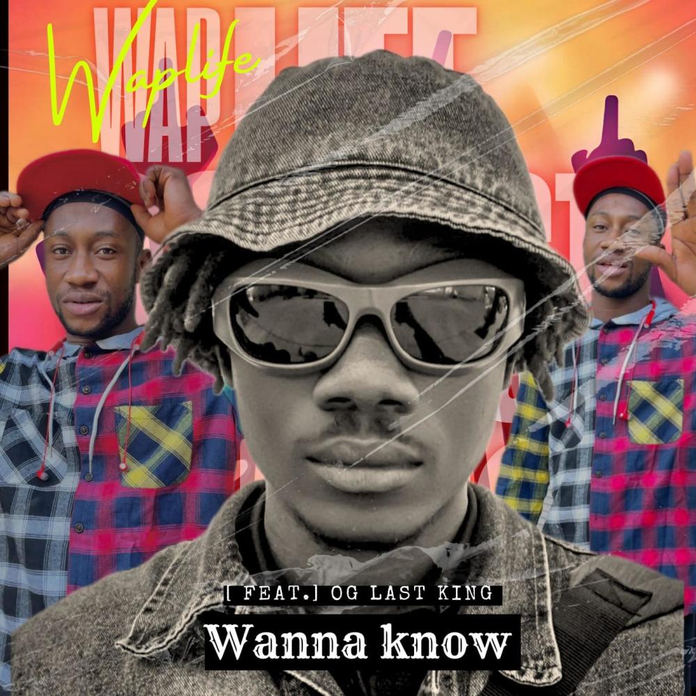 Wanna know (feat. Og Last King) (Explicit)