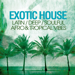Listen to Meu Amor (Mad Zoo Acid Edit) song with lyrics from Lucke Willians