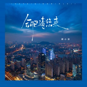 Album 合肥请您来（正式版） from 顾小洁