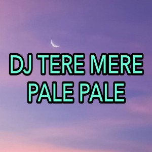 Dengarkan lagu DJ Tere Mere - Pale Pale nyanyian Dj Saputra dengan lirik