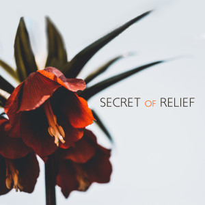 Listen to Memories song with lyrics from Keep Calm Music Collection