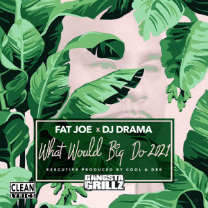 Listen to Diamonds song with lyrics from Fat Joe