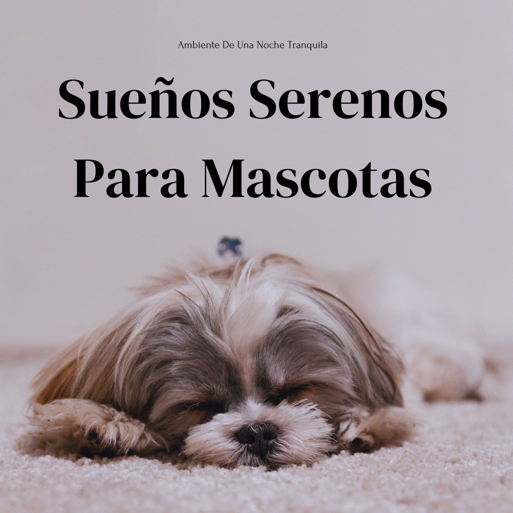 Ambientación De Música Tranquila
