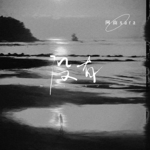 阿南sara的专辑没有