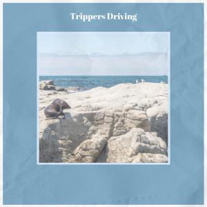 Various Artists的專輯Trippers Driving