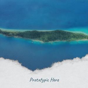 Prototypic Here dari Various Artists