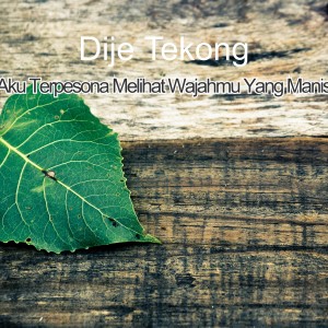 Listen to Terpesona Aku Terpesona Melihat Wajahmu Yang Manis song with lyrics from Dije Tekong