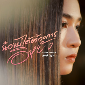 ดาวน์โหลดและฟังเพลง น้องบ่ได้ต้องการอิหยัง (Cover Version) พร้อมเนื้อเพลงจาก เบลล์ นิภาดา
