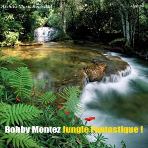 收聽Bobby Montez的African Fantasy歌詞歌曲