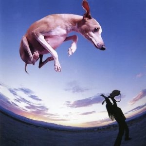 ดาวน์โหลดและฟังเพลง Tell the Truth พร้อมเนื้อเพลงจาก Paul Gilbert