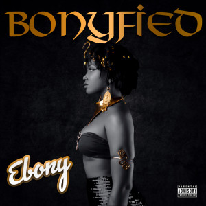 Listen to Haters Anthem song with lyrics from Ebony Reigns