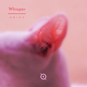Listen to Whisper song with lyrics from Krins